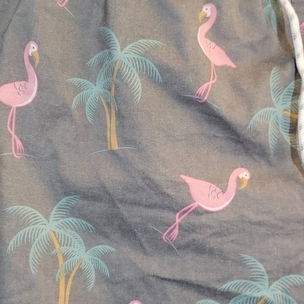 Flamingo Graphic Swim Trunks XXL
